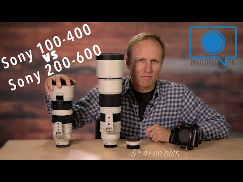 Видео: Sony 200-600 против Sony 100-400 — простой выбор?