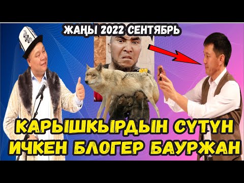 Видео: ЖАҢЫ2022//КАРЫШКЫРДЫН СҮТҮН ИЧКЕН БЛОГЕР//БЕШ ТАПАН ЭЛДИ ЖАРЫП САЛДЫ