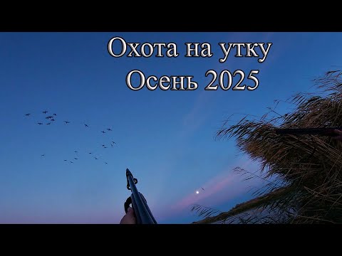 Видео: Осенняя охота на утку.