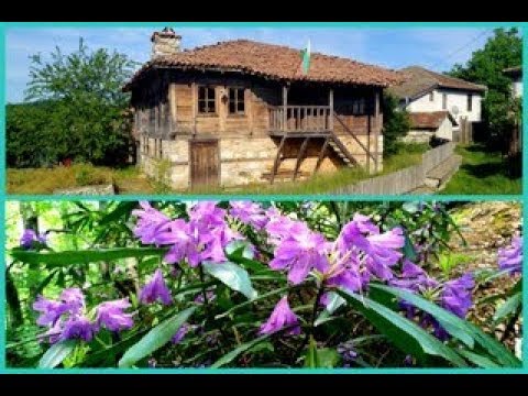 Видео: ПЪТЕКИ в БЪЛГАРИЯ -  част 86 ++++ СЕЛО  БРЪШЛЯН и СТРАНДЖАНСКАТА ЗЕЛЕНИКА