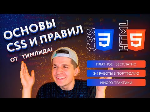 Видео: 6. Основы CSS | HTML & CSS курс 2.0