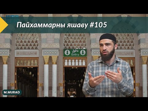 Видео: Пайхаммарны яшаву № 105
