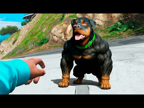 Видео: ВСЁ, К ЧЕМ Я ПРИКАСАЮСЬ, СТАНОВИТСЯ СИЛЬНЕЕ В GTA 5