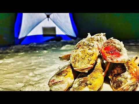 Видео: ОДИН НА ЛЬДУ С НОЧЁВКОЙ!!! В ЖУТКИЙ МОРОЗ -30!!! ЗИМНЯЯ РЫБАЛКА 2025, ЛОВЛЯ НАЛИМА!!