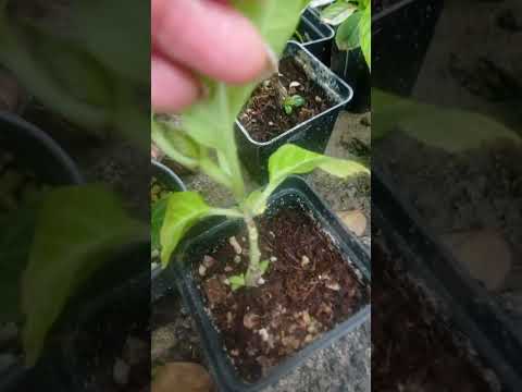 Видео: 28 октября 2025 г.