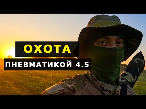 Видео: Вторая ОХОТА с ПНЕВМАТИКОЙ 4.5 мм Хатсан на УТКУ и разведка местности 2024