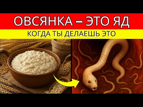 Видео: Прекрати есть овсянку! 7 ошибок, которые вредят организму, даже если ты об этом не знаешь