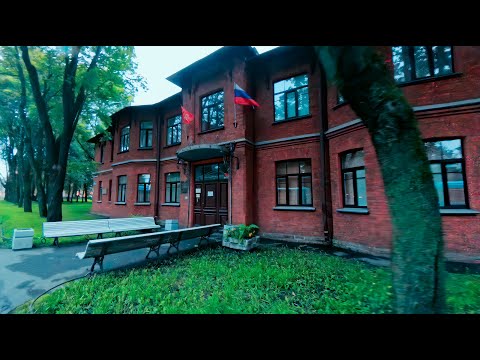 Видео: Мысли наивного зумера о жизни))