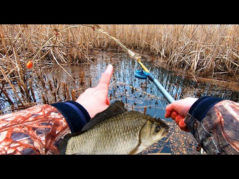 Видео: Не встигаю опускати мормишку. 🐟🐟🐟 Вони мене тут давно чекали. Поради підписникам. Боковий кивок.