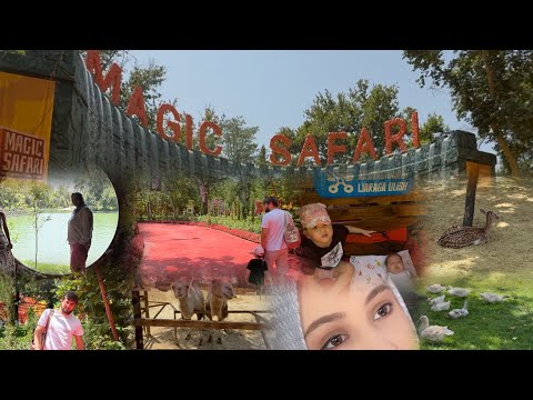 Видео: Запарк 10/7🙂‍↔️❤️ #usa #top #vlog #top10 #new #short #shorts #life #girls