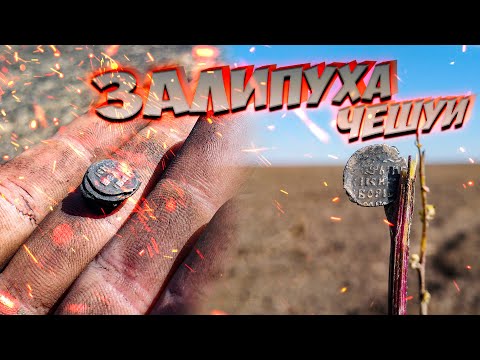 Видео: Коп по Грозному с Triple Score!