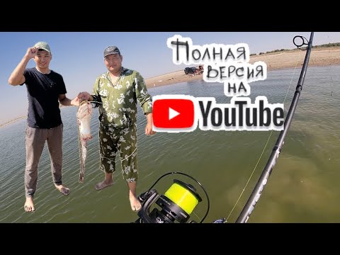 Видео: Шардара СТАРЫЙ ЛОКАТОР/ САЗАНДАР ҰЙҚЫ БЕРМЕДІ