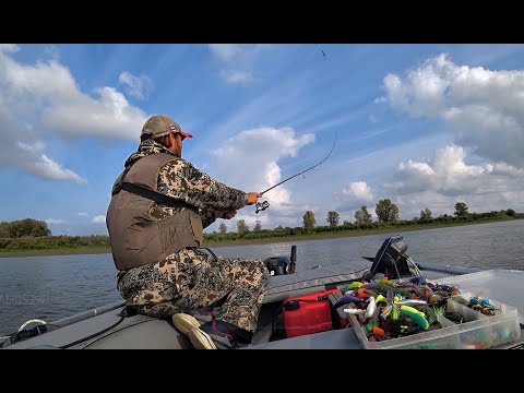 Видео: Поиск крупного хищника золотой осенью. Рыбалка на Оби,щука,судак окунь .коряги,джиг.