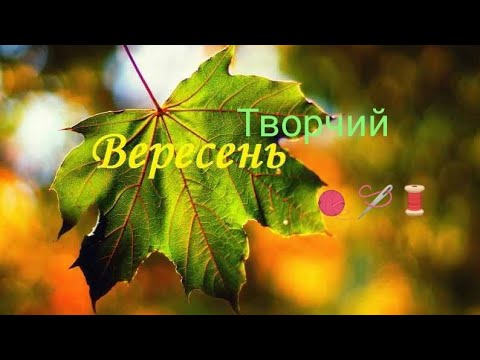 Видео: Новинки, вишиванка: різні види швів, експрес огляд бактуса, покупки #вернісаж_осінніх_барв_2024