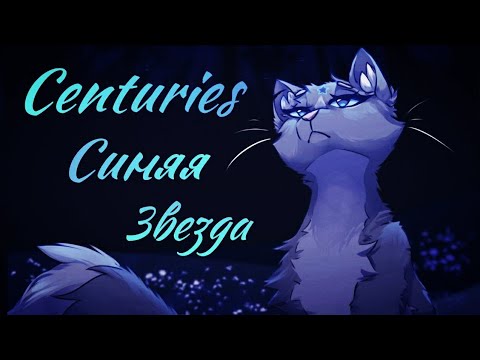 Видео: ЗАКАЗ Коты Воители Синяя Звезда: Centuries [Даниэла]