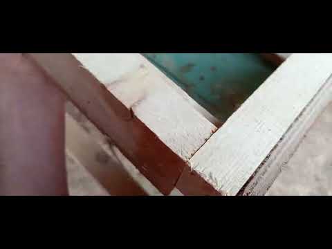 Видео: 27 июня 2025 г.