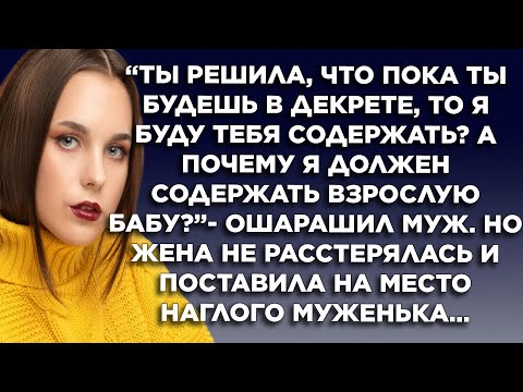 Видео: Ты решила, что пока ты будешь в декрете, то я буду тебя содержать? А почему я должен содержать...