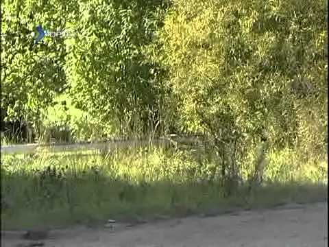 Видео: Коми incognito - Шева 09.09.2012