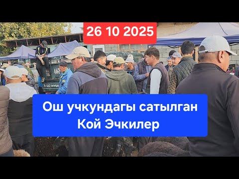 Видео: ОШ УЧКУН МАЛ КОЙ БАЗАР 26 Октябрь  2025 жыл Сатылган Кой Эчкилер #базар #видео #рекомендации 