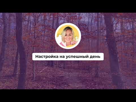 Видео: Настройка на успешный день 437