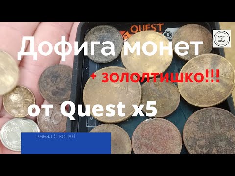Видео: Quest x5 много монет, золото!!! и собакен