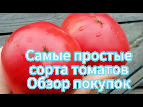 Видео: Обзор покупок томатов самых обычных сортов 