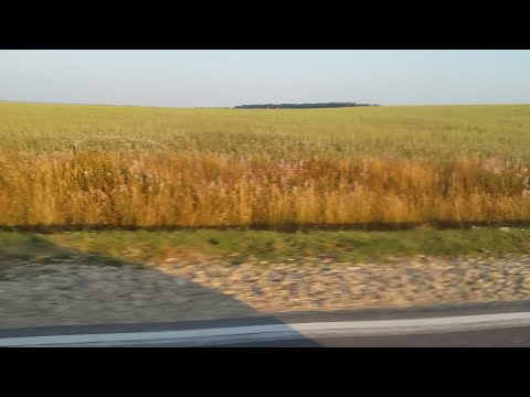 Видео: Про стакан воды в старости.