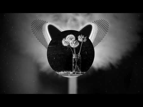 Видео: Дилара Курамшина - Сине соясем килэ (K.M. TATAR PHONK REMIX)