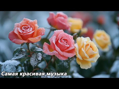 Видео: Я плакала, когда услышала эту песню🌿Осень пришла🌿Музыка для души🌿Лучшие мелодии Сергея Грищука