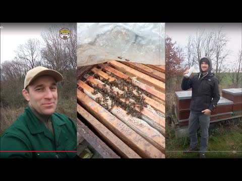 Видео: Пасіка в Німеччині - обробка бджіл від кліща #бджоли