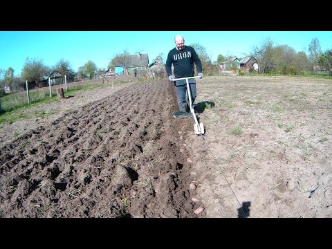 Видео: ДОМ ЛУФЕРЧИКА В ДЕРЕВНЕ ВЕСНОЙ. ПОСАДКА КАРТОШКИ ПОД ЭЛЕКТРОПЛУГ