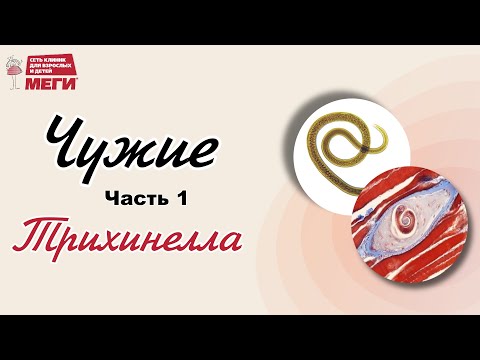 Видео: Как паразиты повлияли на жизнь