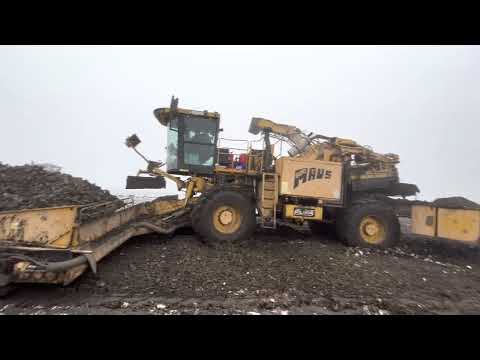 Видео: Відгрузка буряку в мороз🥶🥶🥶дві Ропи не дають ради😱😱😱