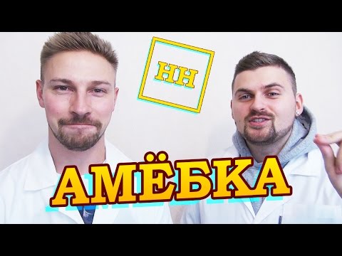 Видео: Научные Нубы - Амёбка