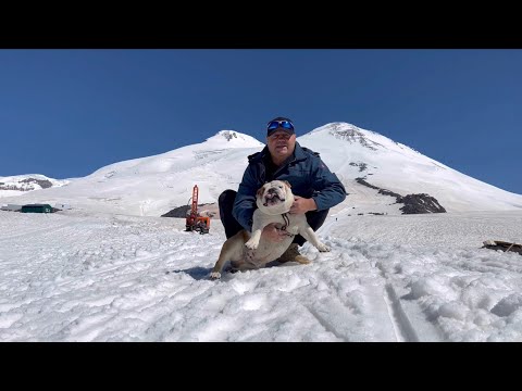 Видео: Эльбрус😎🐶