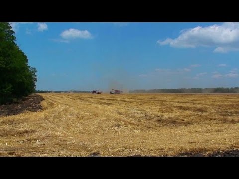 Видео: Чембилей 2016 (Часть 2)