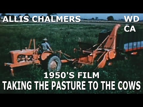 Видео: Фильм Эллиса Чалмерса 1950-х годов «Выпас коров» (WD CA Tractors)