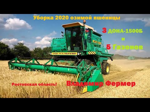 Видео: Уборка озимой пшеницы 2020. Три ДОНА-1500Б и 5 Газонов. А также поздравление сотрудников ГАИ.