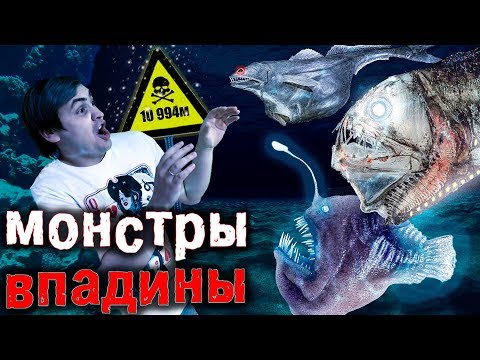 Видео: МОНСТРЫ МАРИАНСКОЙ ВПАДИНЫ - ПОЧЕМУ ОНИ ТАКИЕ СТРАШНЫЕ?