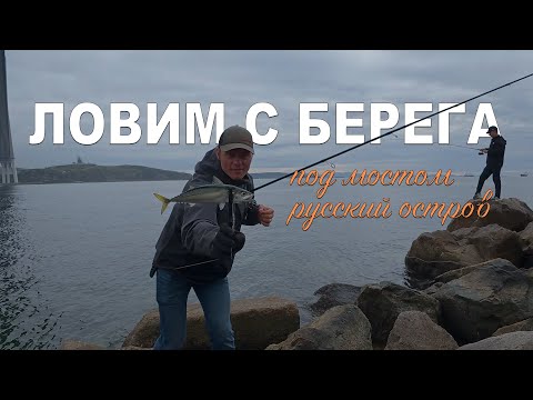 Видео: 🎣 Рыбалка на острове Русский | Подмостовье