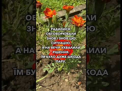 Видео: "Продаються батьки. 70 та 75 років. Вартість - 2000 гривень"
