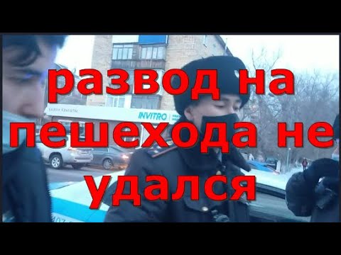 Видео: Развод на пешехода не удался  Глас народа.