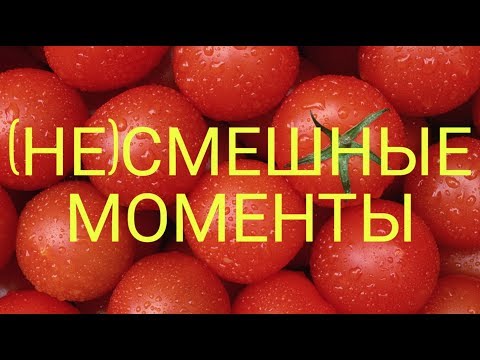 Видео: (НЕ)Смешные моменты «Читаем фанфики про Шаров»