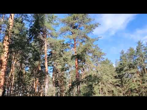 Видео: Работа нас удерживает... Охранные модули в работе по найму в организации. 2 часть