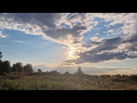 Видео: ПриРода дає ресурс #ченнелінг 
