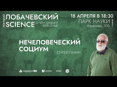 Видео: Цикл лекций Сергея Парина «О чем думают животные». Лекция 3 «Нечеловеческий социум»