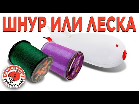 Видео: ШНУР или ЛЕСКА?