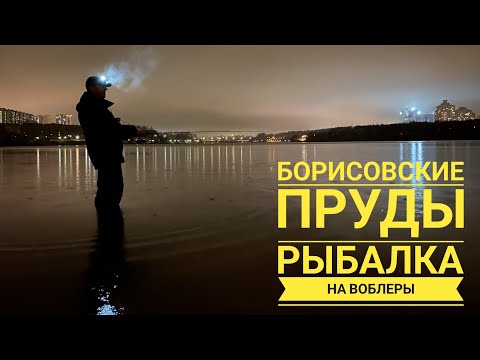 Видео: Борисовские пруды,рыбалка на воблеры.