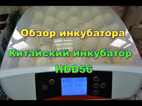 Видео: Обзор китайского инкубатора HDD 56