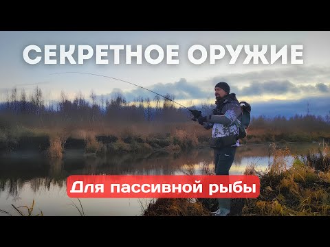Видео: Секретное оружие для пассивной рыбы! Спиннинг для начинающих.